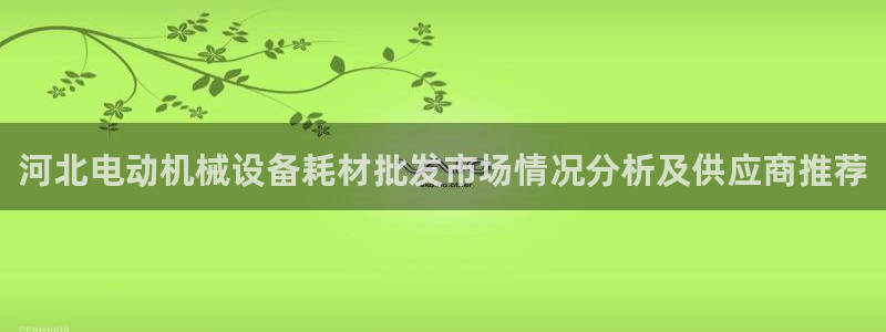 杏盛东24 35 53：河北电动机械设备耗材批发市场情况分析及供应商推荐