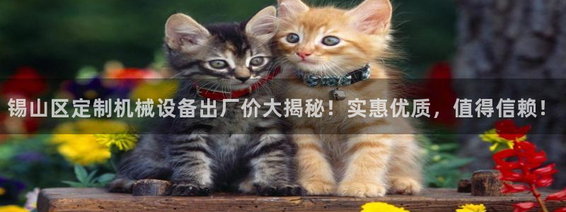 杏盛开户地址：锡山区定制机械设备出厂价大揭秘！实惠优质，值得信赖！