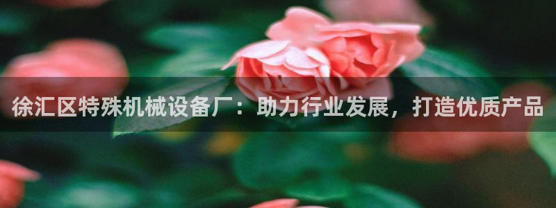 杏盛平台注册：徐汇区特殊机械设备厂：助力行业发展，打造优质产品