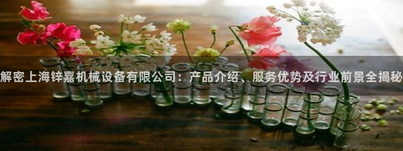 杏盛平台官网注册：解密上海锌嘉机械设备有限公司：产品介绍、服务优势及行业前景全揭