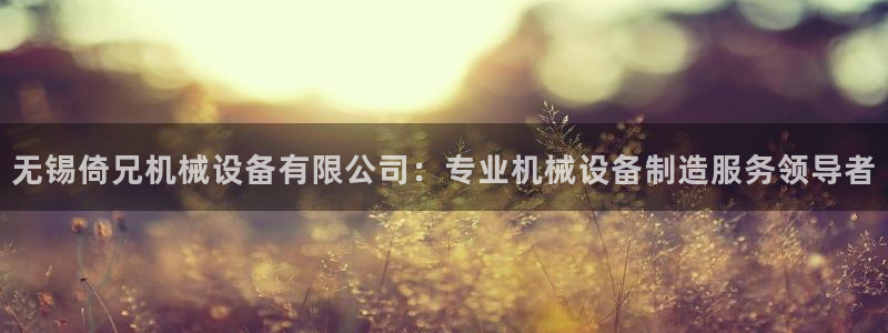 杏盛平台代理：无锡倚兄机械设备有限公司：专业机械设备制造服务领导者