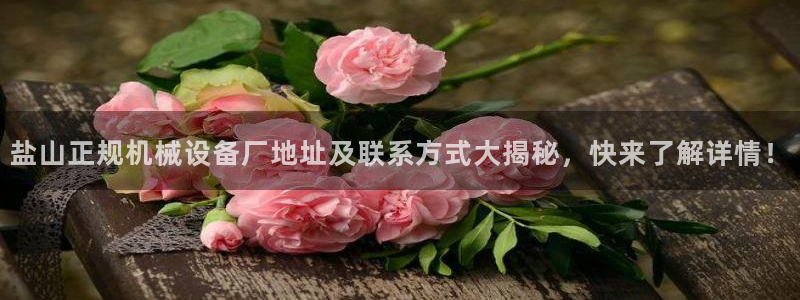 杏盛乐岳35994誓：盐山正规机械设备厂地址及联系方式大揭秘，快来了解详情！