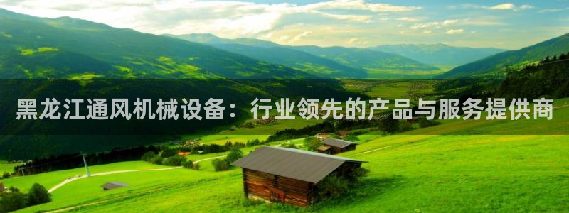 杏盛平台登录：黑龙江通风机械设备：行业领先的产品与服务提供商