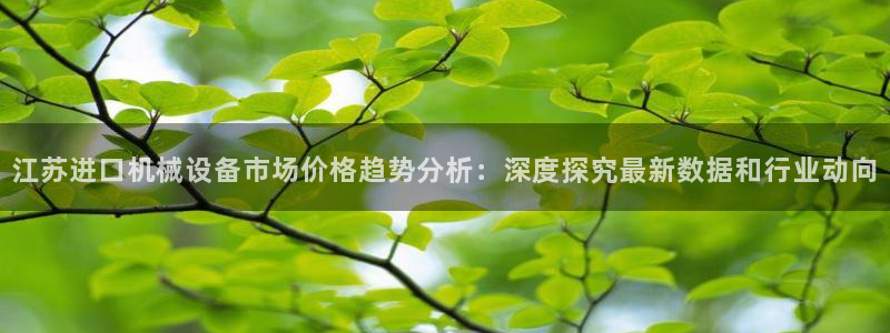 杏盛平台主管：江苏进口机械设备市场价格趋势分析：深度探究最新数据和行业动向