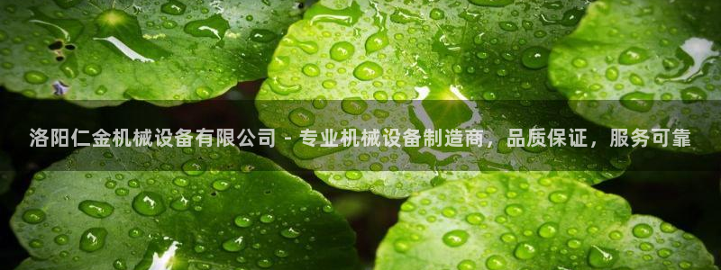 杏盛平台主管：洛阳仁金机械设备有限公司 - 专业机械设备制造商，品质保证，服务可