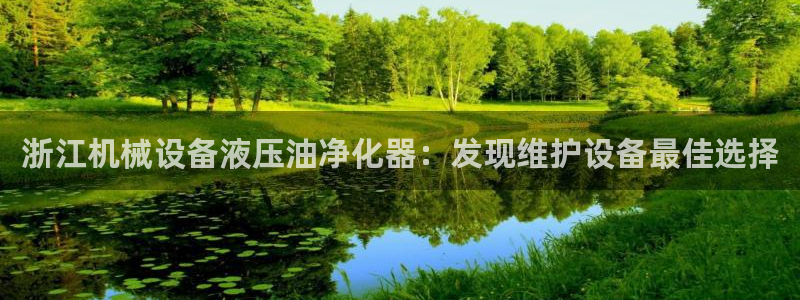 杏盛娱乐代理：浙江机械设备液压油净化器：发现维护设备最佳选择