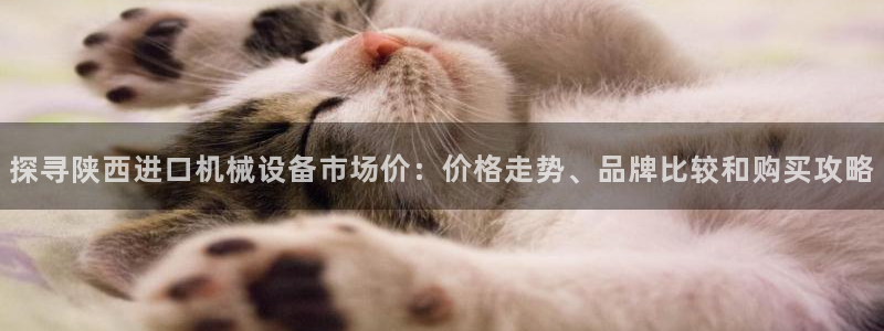 杏盛官网登录：探寻陕西进口机械设备市场价：价格走势、品牌比较和购买攻略