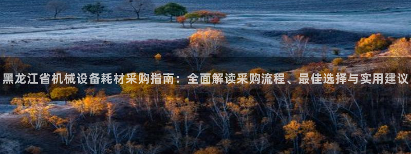 杏盛官网：黑龙江省机械设备耗材采购指南：全面解读采购流程、最佳选择与实用建议