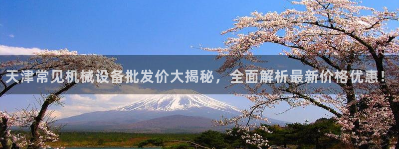 杏盛娱乐代理：天津常见机械设备批发价大揭秘，全面解析最新价格优惠！