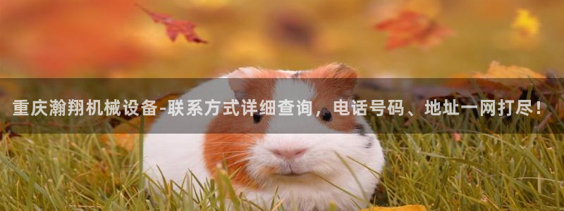 杏盛平台登陆地址：重庆瀚翔机械设备-联系方式详细查询，电话号码、地址一网打尽！