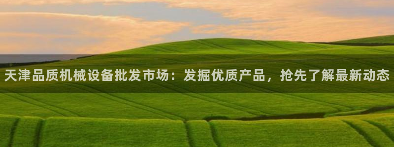 杏盛平台：天津品质机械设备批发市场：发掘优质产品，抢先了解最新动态