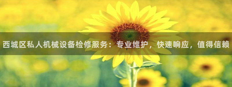 杏盛平台登录：西城区私人机械设备检修服务：专业维护，快速响应，值得信赖
