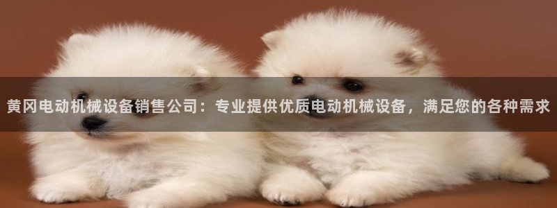 杏盛主管：黄冈电动机械设备销售公司：专业提供优质电动机械设备，满足您的各种需求