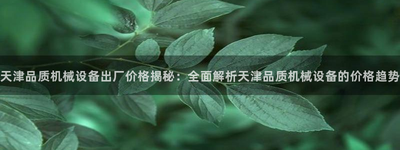 杏盛注册登录：天津品质机械设备出厂价格揭秘：全面解析天津品质机械设备的价格趋势