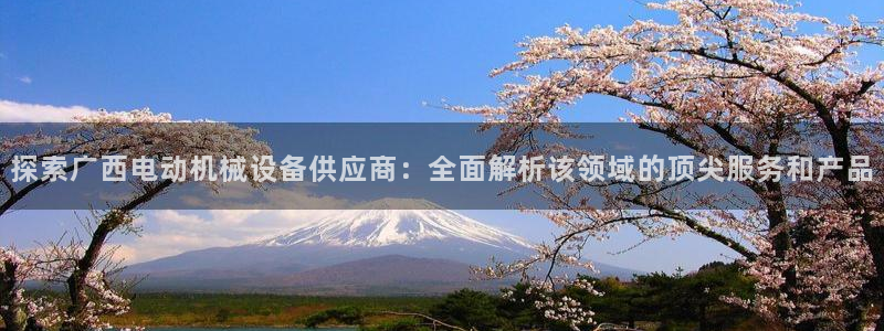 杏盛平台登录：探索广西电动机械设备供应商：全面解析该领域的顶尖服务和产品