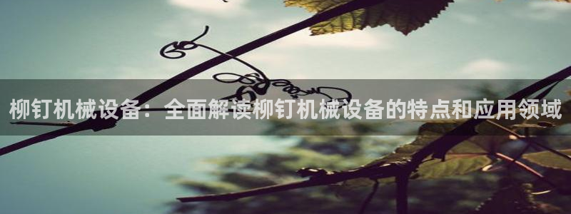 杏盛官网：柳钉机械设备：全面解读柳钉机械设备的特点和应用领域
