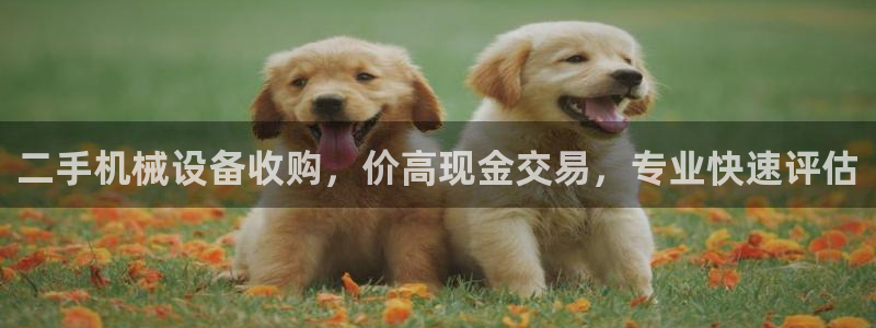 杏盛平台上级：二手机械设备收购，价高现金交易，专业快速评估