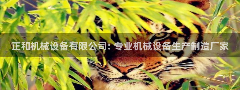 杏盛平台：正和机械设备有限公司: 专业机械设备生产制造厂家