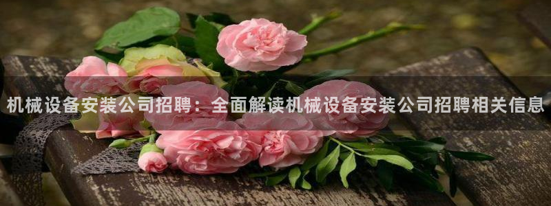 杏盛主管：机械设备安装公司招聘：全面解读机械设备安装公司招聘相关信息