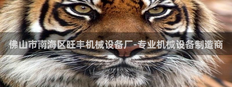 杏盛官网：佛山市南海区旺丰机械设备厂-专业机械设备制造商