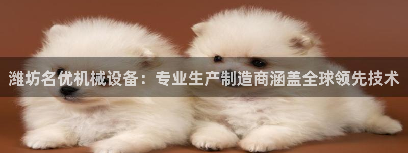 杏盛平台开户：潍坊名优机械设备：专业生产制造商涵盖全球领先技术