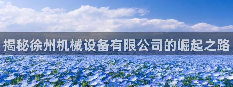 杏盛乐岳35994誓：揭秘徐州机械设备有限公司的崛起之路