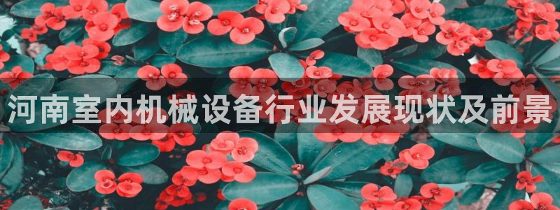 杏盛平台官网：河南室内机械设备行业发展现状及前景