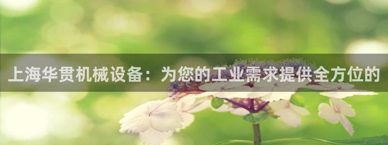 杏盛平台官网注册：上海华贯机械设备：为您的工业需求提供全方位的