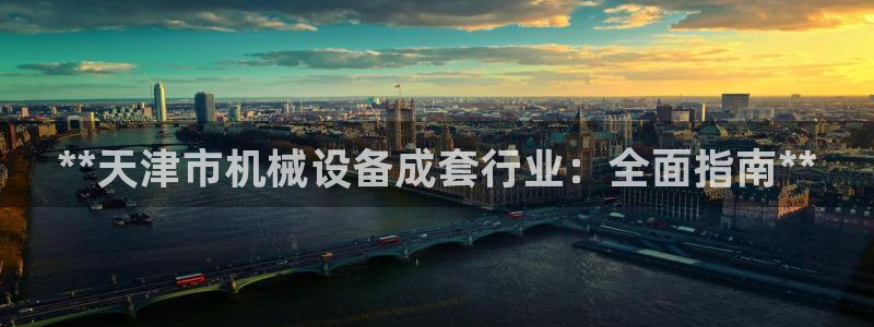 杏盛注册登录：**天津市机械设备成套行业：全面指南**