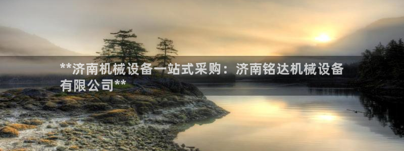 杏盛平台官网：**济南机械设备一站式采购：济南铭达机械设备
有限公司**