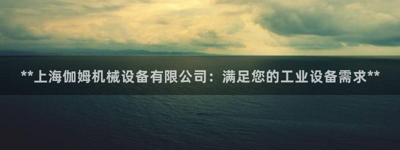 杏盛平台官网注册登录：**上海伽姆机械设备有限公司：满足您的工业设备需求**