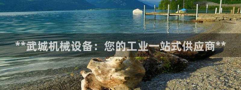 杏盛平台代理注册：**武城机械设备：您的工业一站式供应商**