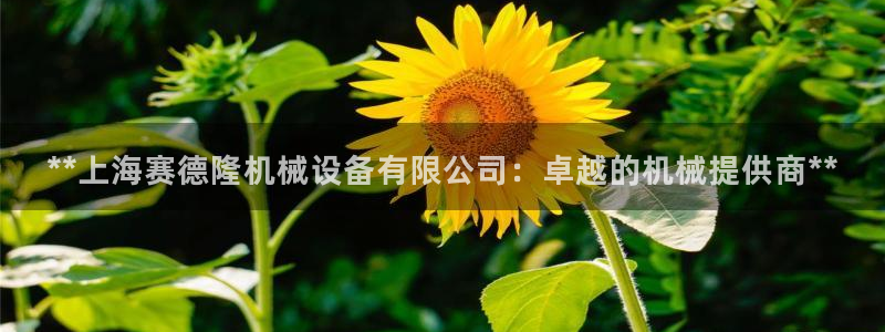 杏盛东24 35 53：**上海赛德隆机械设备有限公司：卓越的机械提供商**