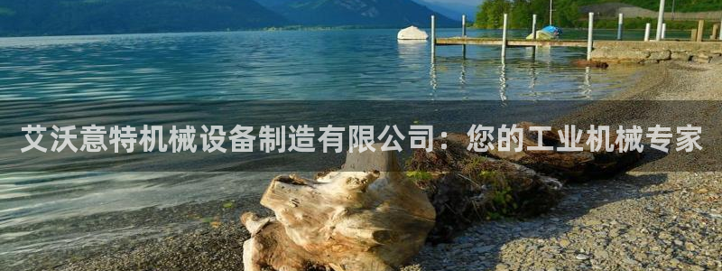 杏盛平台代理：艾沃意特机械设备制造有限公司：您的工业机械专家