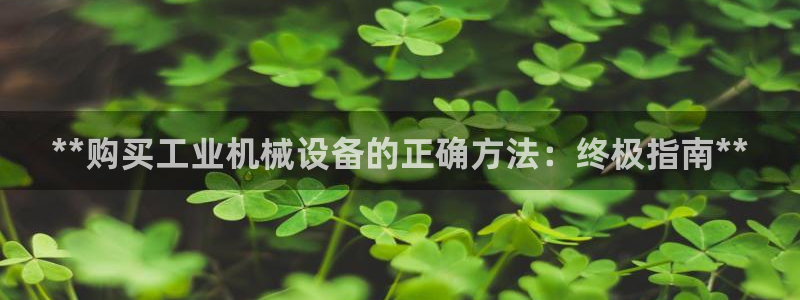 杏盛平台主管：**购买工业机械设备的正确方法：终极指南**