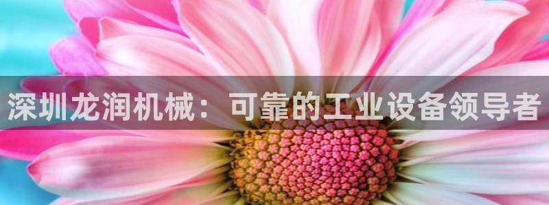 杏盛app下载：深圳龙润机械：可靠的工业设备领导者