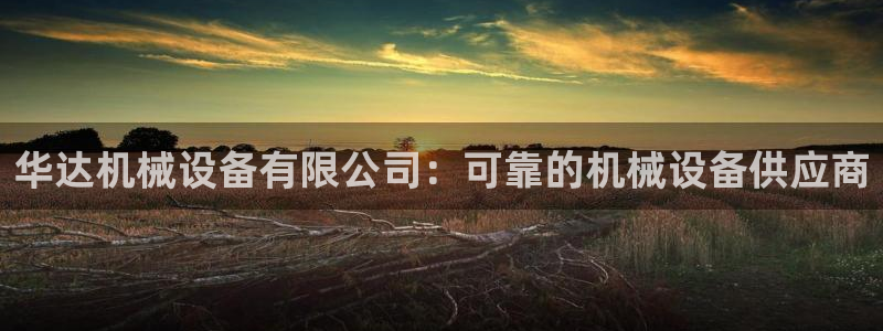 杏盛平台官网注册：华达机械设备有限公司：可靠的机械设备供应商