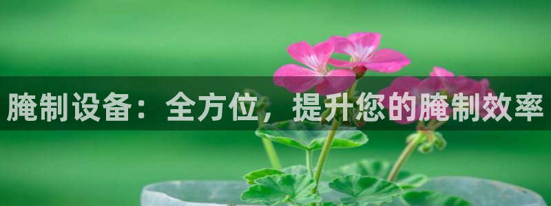杏盛官网登录：腌制设备：全方位，提升您的腌制效率