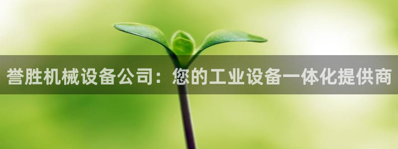 杏盛平台主管：誉胜机械设备公司：您的工业设备一体化提供商