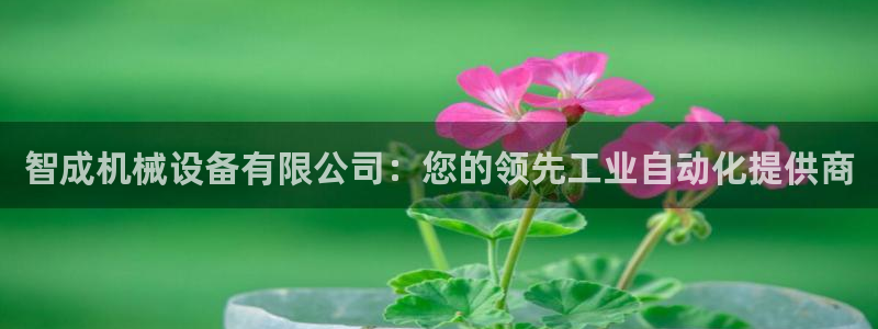 杏盛东24 35 53：智成机械设备有限公司：您的领先工业自动化提供商