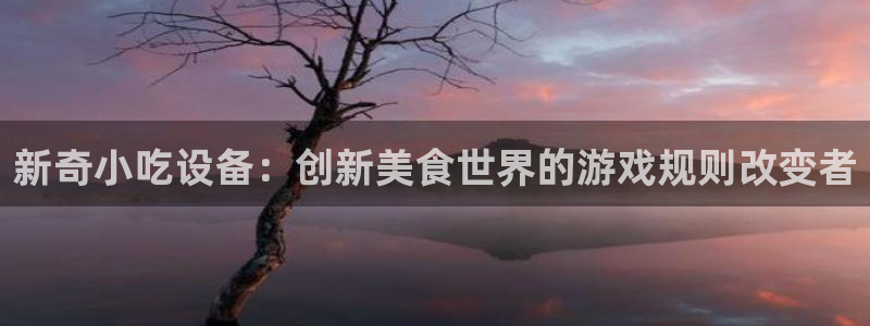 杏盛平台上级：新奇小吃设备：创新美食世界的游戏规则改变者