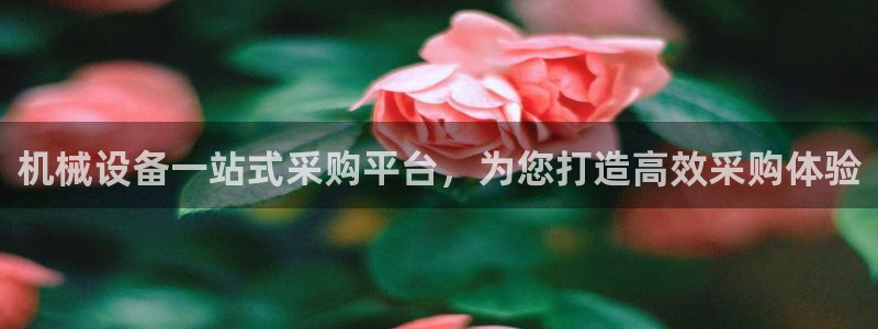 杏盛平台登陆：机械设备一站式采购平台，为您打造高效采购体验