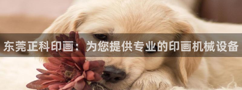 杏盛平台官网注册：东莞正科印画：为您提供专业的印画机械设备