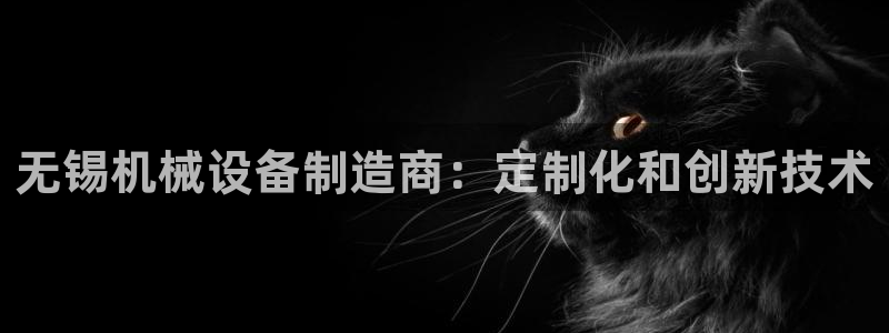 杏盛官网：无锡机械设备制造商：定制化和创新技术
