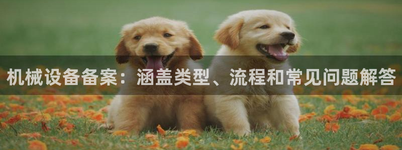 杏盛平台登录地址：机械设备备案：涵盖类型、流程和常见问题解答