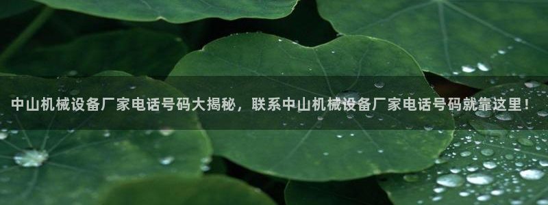 杏盛平台登陆：中山机械设备厂家电话号码大揭秘，联系中山机械设备厂家电话号码就靠这