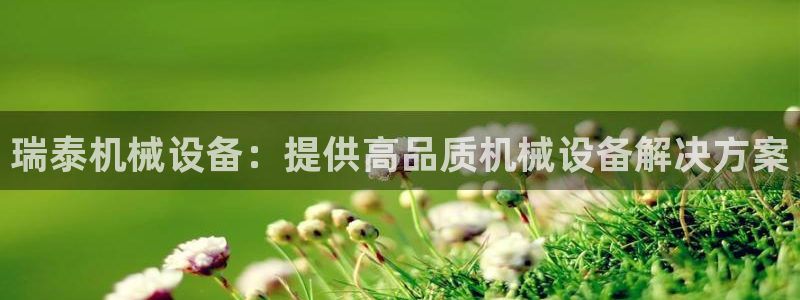 杏盛平台主管：瑞泰机械设备：提供高品质机械设备解决方案