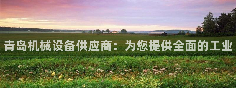 杏盛官网登录：青岛机械设备供应商：为您提供全面的工业