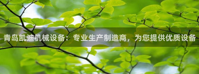 杏盛平台官网注册：青岛凯迪机械设备：专业生产制造商，为您提供优质设备