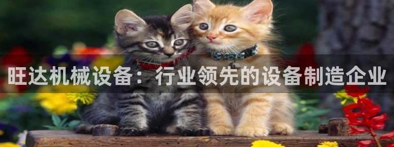 杏盛注册登录：旺达机械设备：行业领先的设备制造企业